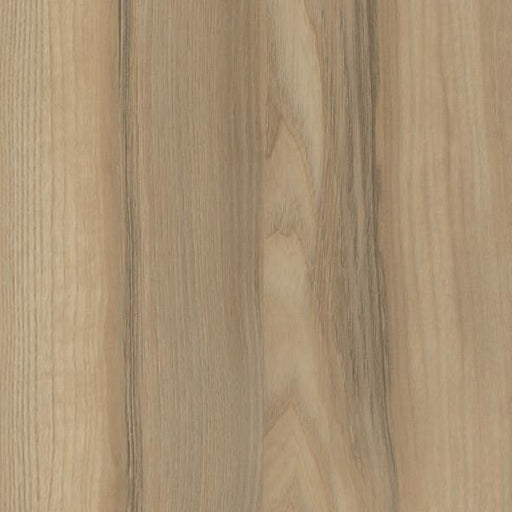 Tafelblad Ladoga Essen T565 - Tafelblad.eu